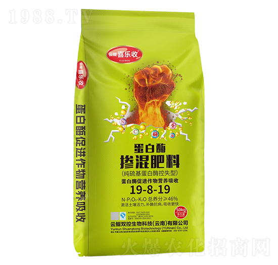 蛋白酶摻混肥料19-8-19-紅太陽