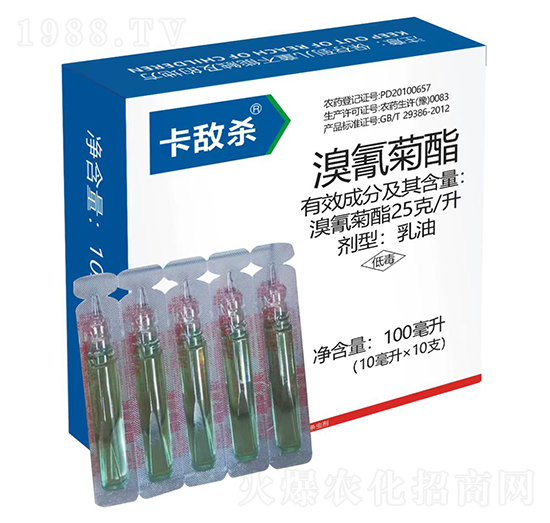 25��/���������-������-�t̫�