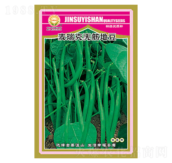 �����N��-����˟o(w��)��ض�-̫��(l��)�N�I(y��)