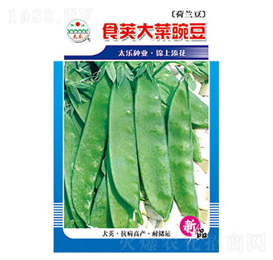 �㶹�N��-ʳ�v����㶹-̫��(l��)�N�I(y��)