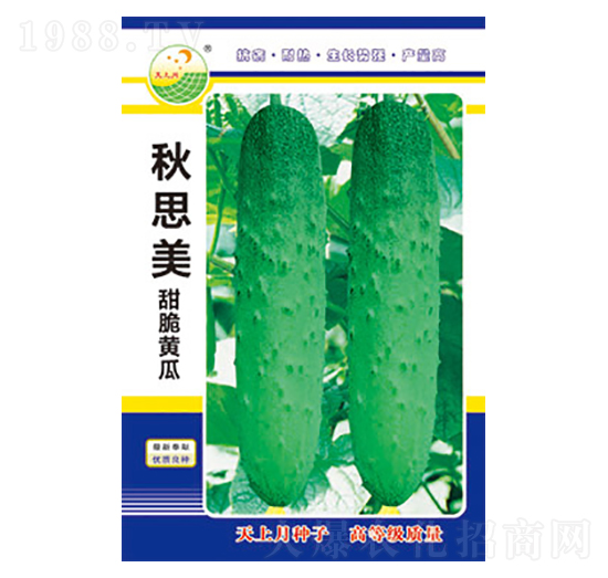 �S�ϷN��-��˼��-̫��(l��)�N�I(y��)