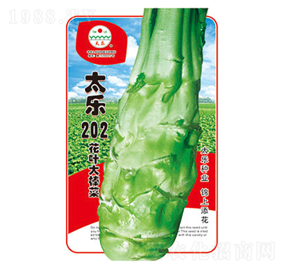 ���˷N��-̫��202-̫���N�I(y��)