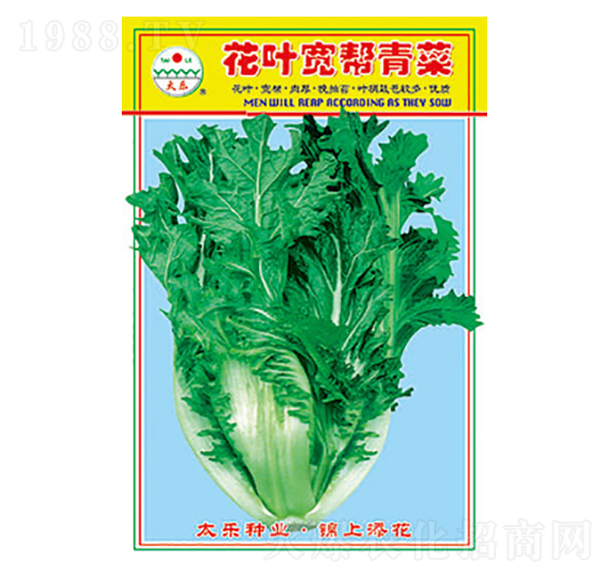 ��˷N��-���~�������-̫���N�I(y��)