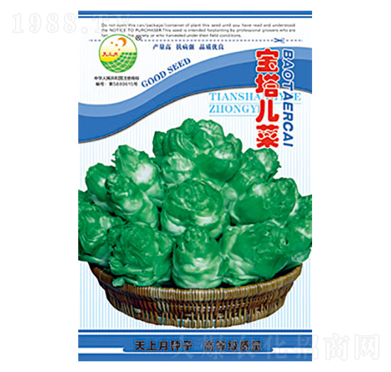 ���˷N��-��������-̫���N�I(y��)