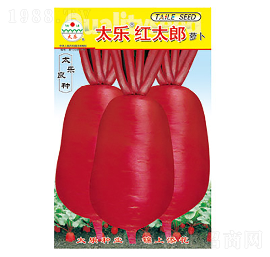 �}���N��-̫��(l��)�t̫��-̫��(l��)�N�I(y��)