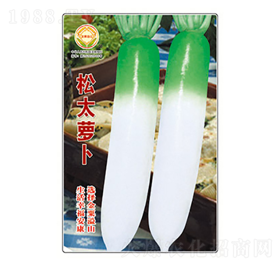 �}���N��-��̫�}��-̫���N�I(y��)