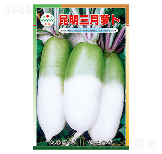 �}���N��-���������}��-̫���N�I(y��)