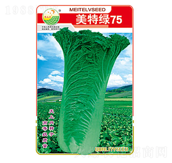 �ײ˷N��-���ؾG75-̫���N�I(y��)