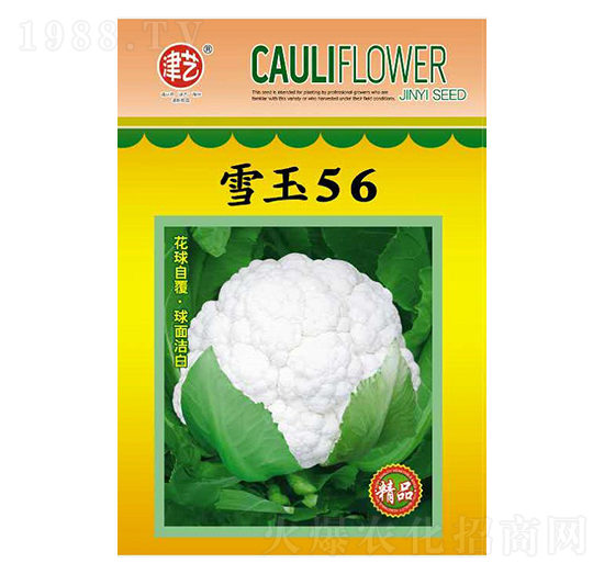 ���˷N��-ѩ��56-���S�r(n��ng)�I(y��)