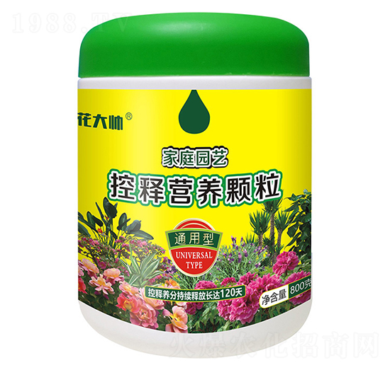 800��ͨ���ͼ�ͥ�@ˇ��ጠI(y��ng)�B(y��ng)�w��-����-�G�ַʘI(y��)