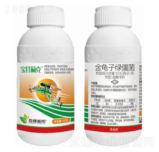 100億孢子/克金龜子綠僵菌油懸浮劑-寶打薊克-美邦化工