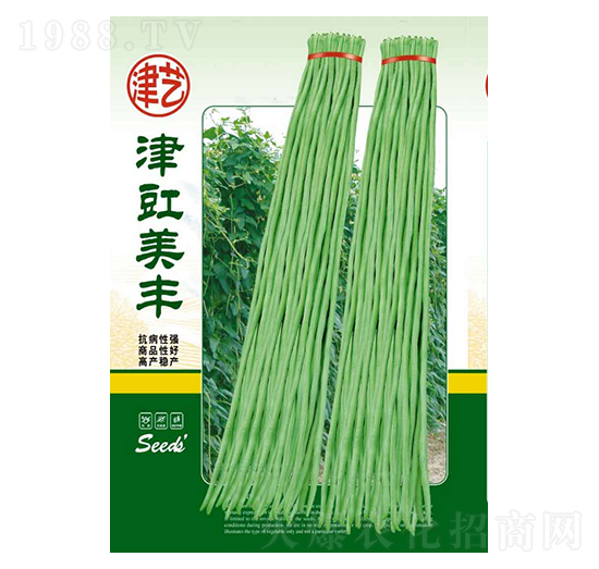 ���ǷN��-�������S-���S�r�I(y��)