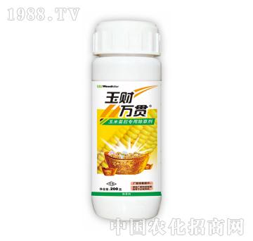 玉財(cái)萬(wàn)貫-泰陽(yáng)