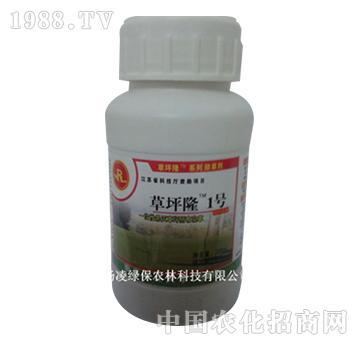 草坪隆1號(hào)-馬尼拉高羊茅黑麥草冷季草坪除草劑