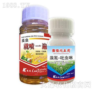 麥蟲(chóng)就噴一遍+麥蟲(chóng)閑五周-凱瑞克