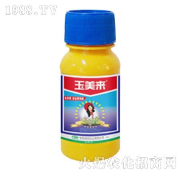 ��������(l��i)-�G��