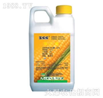 �񘷘�-�G��