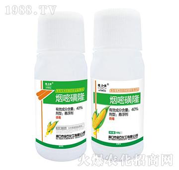 40%煙嘧磺隆-老田農