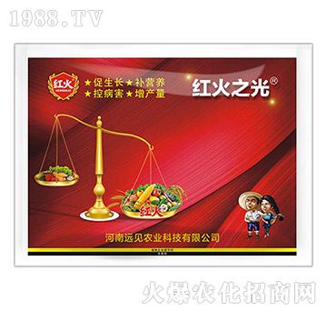 紅火之光-遠見農業(yè)