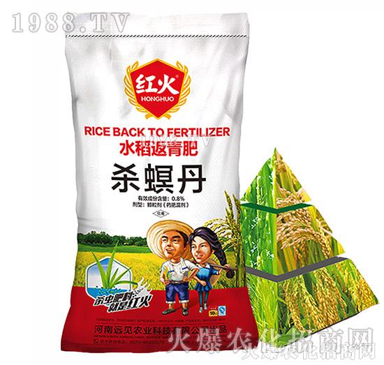 水稻返青肥-0.8%殺螟丹-紅火-遠(yuǎn)見(jiàn)農(nóng)業(yè)1