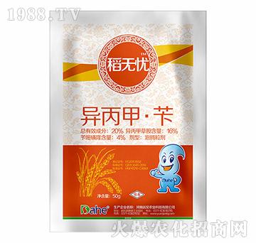 20%異丙甲·芐-稻無(wú)憂-遠(yuǎn)見農(nóng)業(yè)