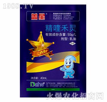 精喹禾靈-蓋星-遠(yuǎn)見農(nóng)業(yè)