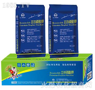 �|̦�����-�滯���h