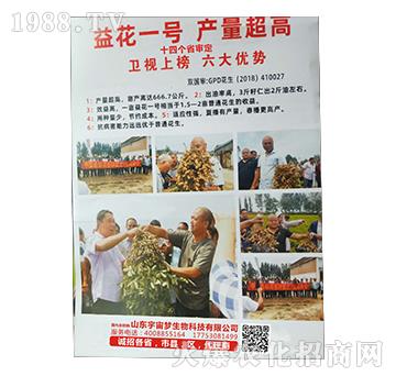 �滨һ̖-���������