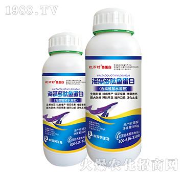 ��������~����-���˹����r��