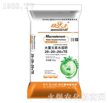 大量元素水溶肥20-20-20+TE-根狀元-金網(wǎng)聯(lián)