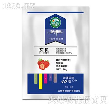 灰貝-好邦田-天碩作物