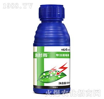 霜霉病專用殺菌劑-急時(shí)雨-中海潤(rùn)禾