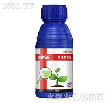 灰霉病專用殺菌劑-急時雨-中海潤禾