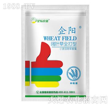 小麥田闊葉草除草套餐-企陽-企標(biāo)