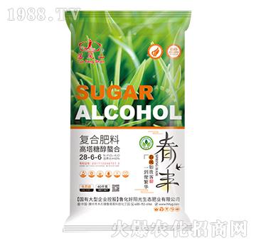 �����Ǵ����ϏͺϷ���28-6-6-���Pɽ-����