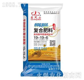 復(fù)合肥料19-19-6-落鳳山-魯化