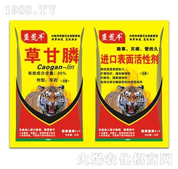 95%�ݸ��-����ţ-�ݵ�˹