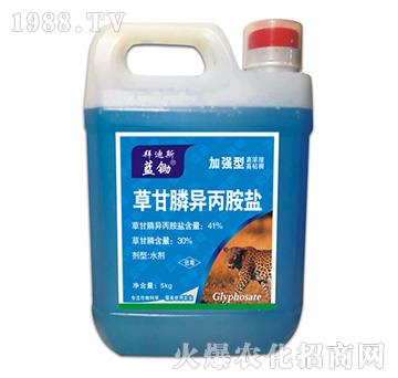 41%�ݸ�좮������}���ӏ��ͣ�-�{�z-�ݵ�˹