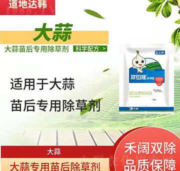 ������݄�-�������-���⌣��-����¡��M�@-���n