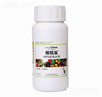 瓶裝軟皂水劑-橄欖鯊-百樂寶