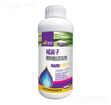 ֲ��Ż�������-ؐ������