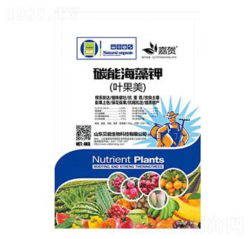 ̼�ܺ����-ؐ������