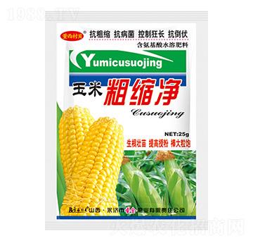 含腐植酸水溶肥料-玉米粗縮凈-圣金肥業(yè)