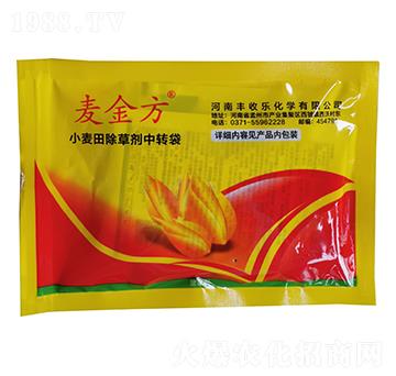 С�����݄����b-����-�S�՘�