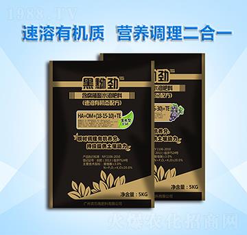 含腐植酸水溶肥料-黑黝勁-農(nóng)巧施