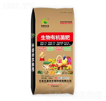 �����ЙC����-�G��ɭ�r�I(y��)