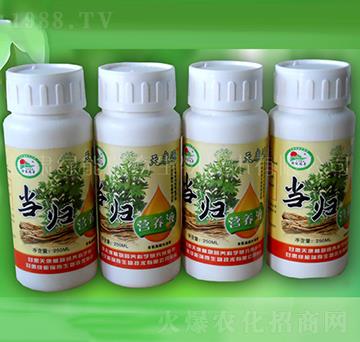 當歸營養(yǎng)液-綠能