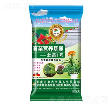 ������|(zh��)-����1̖(h��o)-�G��