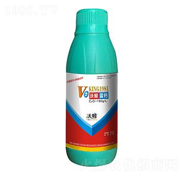 ���L�{(l��n)�}-���L