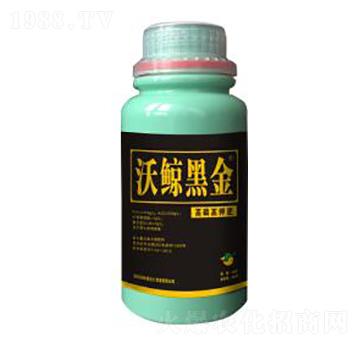 �ڽ���⛷�-���L